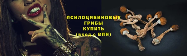 дурь Осташков