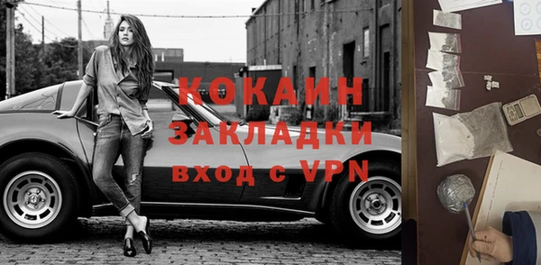 прущие грибы Осинники