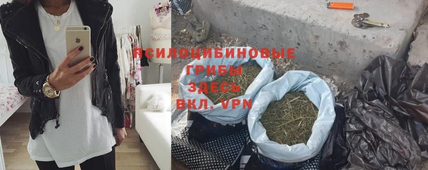 прущие грибы Осинники