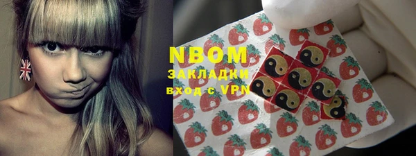 дурь Осташков